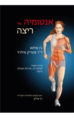 אנטומיה של ריצה