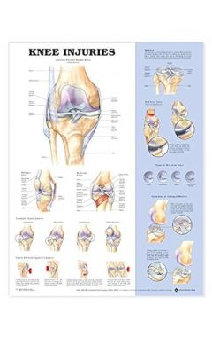 KNEE INJURIES CHART LAM