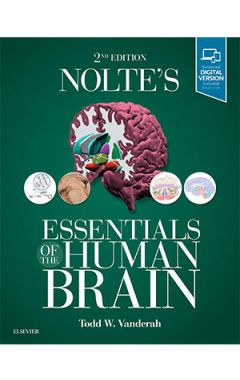 Nolte's Essentials of the Human Brain