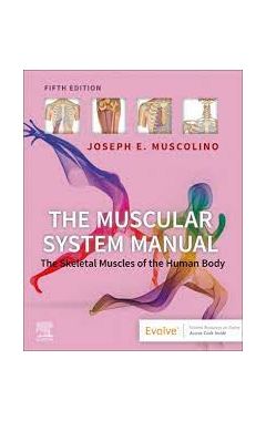 The Muscular System Manual 5e The Skeletal Muscles of the Human Body