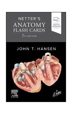 Netter's Anatomy Flash Cards