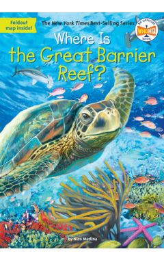 Where Is the Great Barrier Reef?