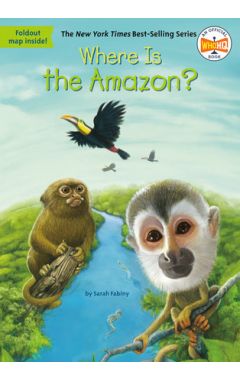 Where Is the Amazon?