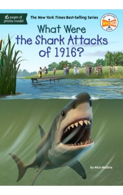 What Were the Shark Attacks of 1916?