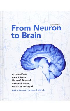 From Neuron to Brain