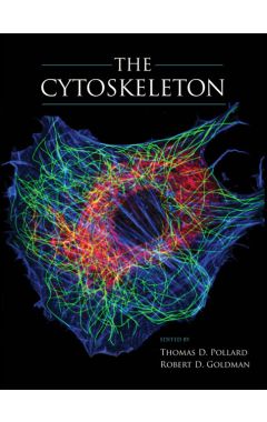 The Cytoskeleton