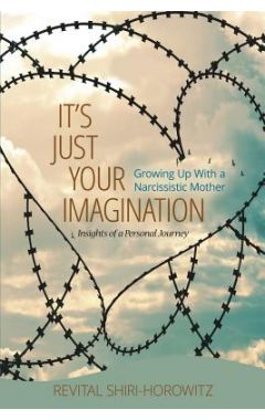 It's Just Your Imagination: Growing Up with a Narcissistic Mother - Insights of a Personal Journey