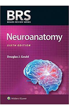 BRS Neuroanatomy 7th edition